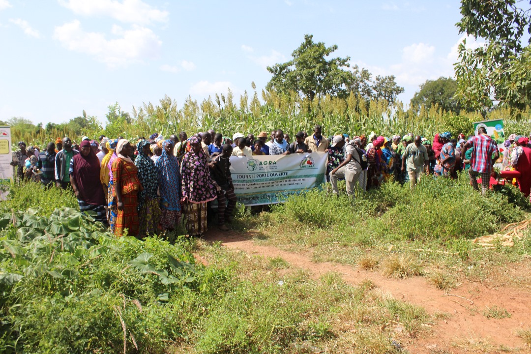 Journée paysanne dans la localité de N'TOGONASSO à KOUTIALA